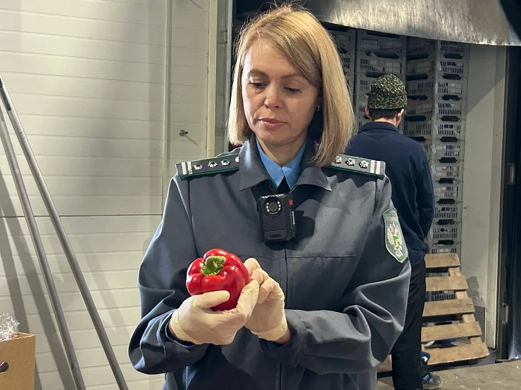 Почти 10 тонн заражённых перцев и винограда не попали в Красноярский край