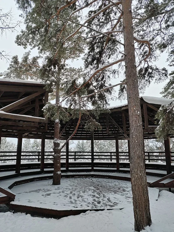 12 февраля в Красноярске заметно похолодает